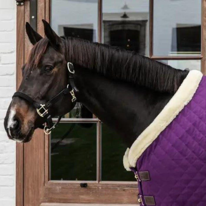 Kentucky Horsewear Show Rug 160g - Royal Purple