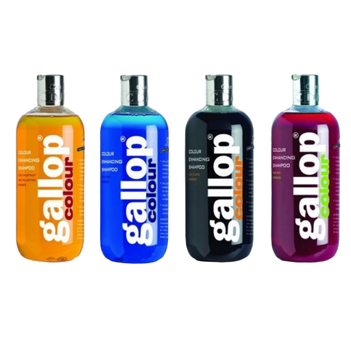 Carr & Day & Martin Gallop Color Enhancing Shampoo 500ml