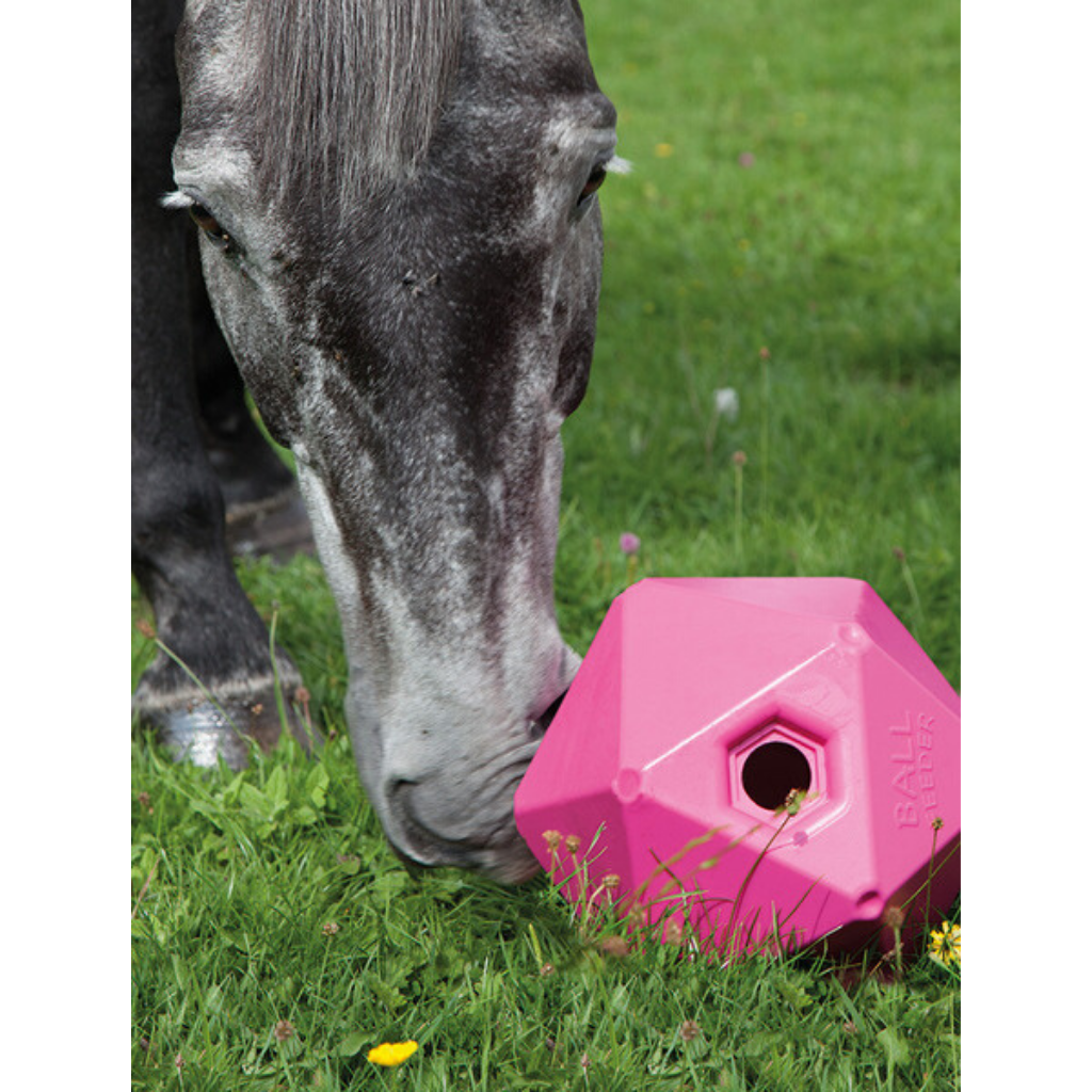Horse treat ball sales toy