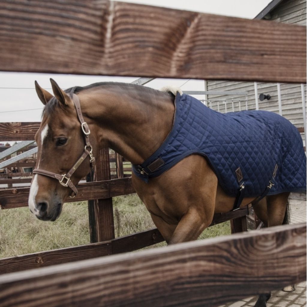 Couverture Imperméable Walker Kentucky Horsewear 160g - Marine - Neuve