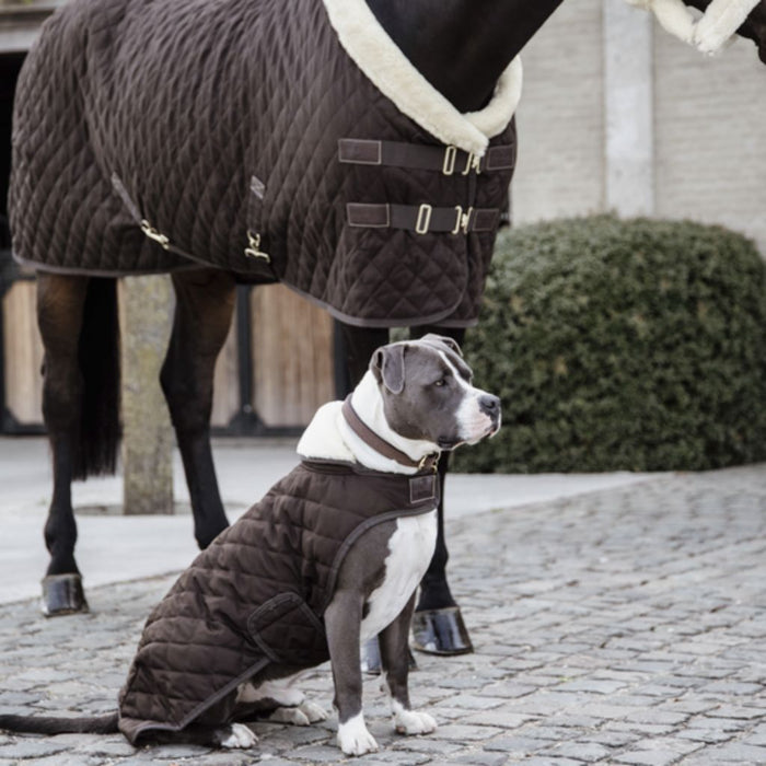 Kentucky Horsewear Dog Coat 160g