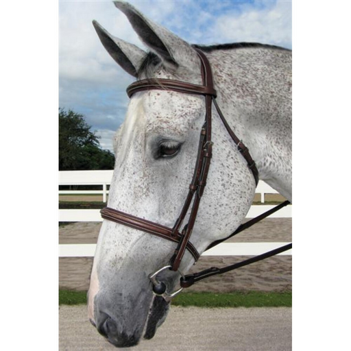 HDR Pro Fancy Padded Cavesson Bridle with Reins
