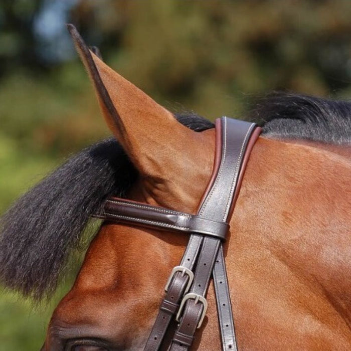 Dyon Classic Bridle with Flash Working Collection crownpiece