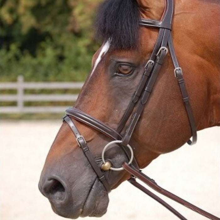Dyon Classic Bridle with Flash Working Collection