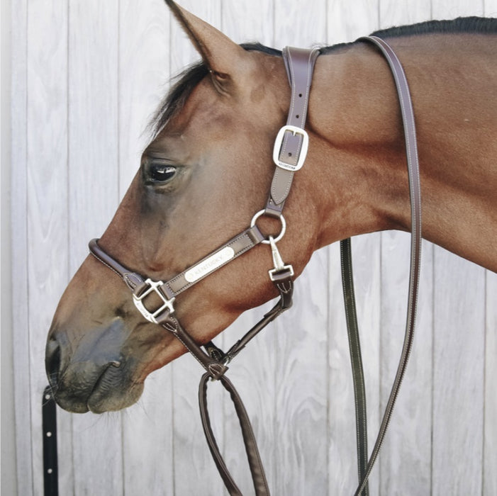 Kentucky Horsewear Synthetic Leather Covered Chain Lead side view