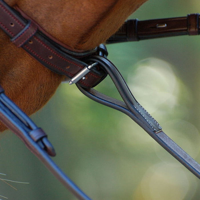 Dyon Standing Martingale Attachment New English Collection at noseband