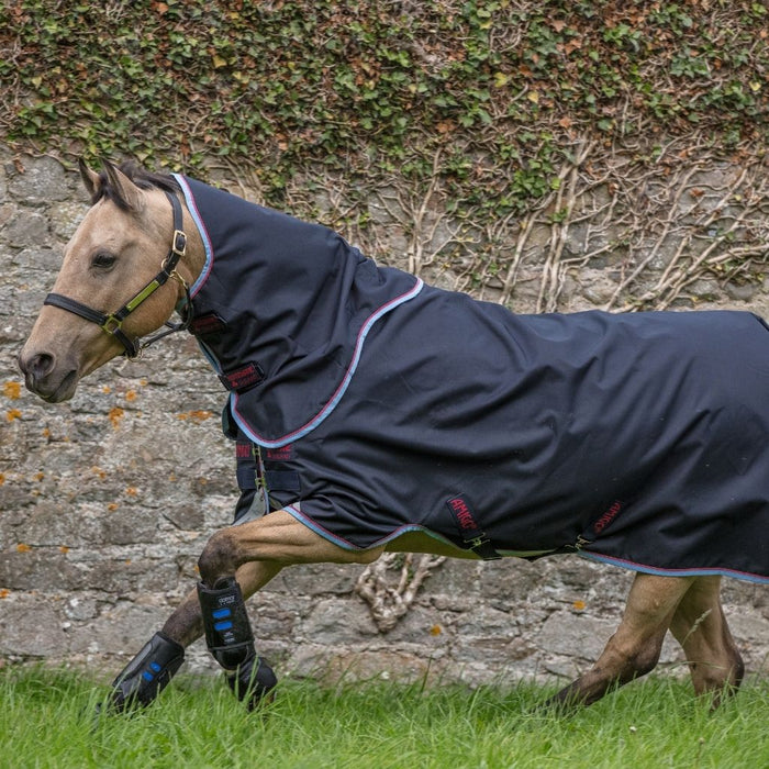 Amigo Bravo 12 Plus Pony Lite 0g by Horseware Ireland