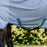 Amigo Integrated Fly Sheet by Horseware Ireland