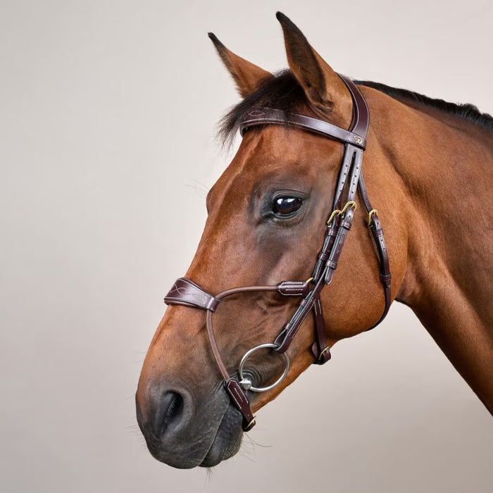 Dyon D Collection Elastic Hybrid Noseband Bridle on a horse's head.