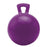 Jolly Horse Ball 10" Purple