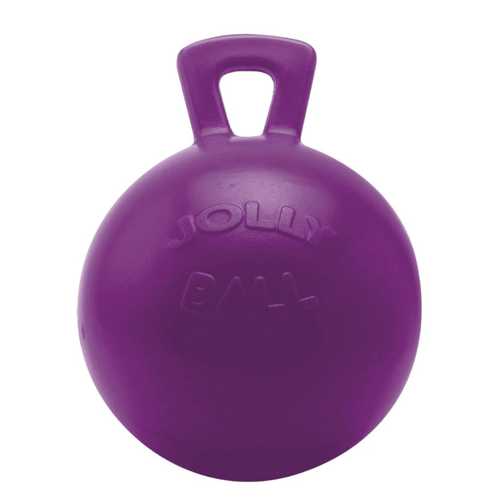 Jolly Horse Ball 10" Purple
