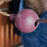 Kentucky Horsewear Rubber Ball Protection Wall & Lead Bordeaux