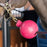 Kentucky Horsewear Rubber Ball Protection Wall & Lead Pink