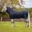 Amigo Insulator Plus Pony Medium 200g by Horseware Ireland