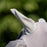 Horseware Defense Flymask by Horseware Ireland