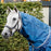 Ionic Therapy Mesh Cooler Hood by Horseware Ireland