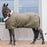 Kentucky Horsewear Show Rug 160g - Discontinued Colors