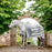 Horseware Newmarket Fleece Square Whitney Grey