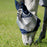 Horseware Shield Flymask by Horseware Ireland