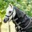 Rambo 1680D Turnout Hood 0g by Horseware Ireland Black Silver Grey