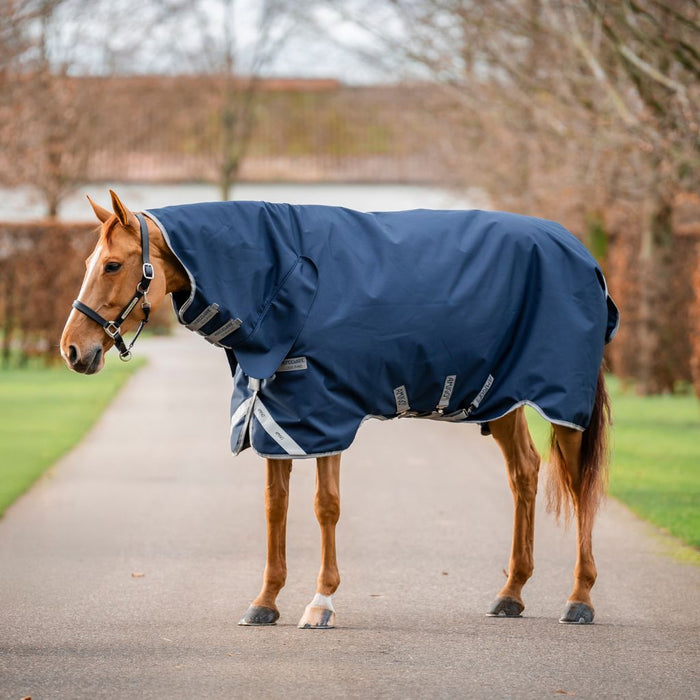 Horse wearing a blue rug on a path with trees in the background