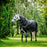 Amigo 1200D Plus Heavy 400g by Horseware Ireland Black Silver