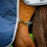 Amigo 1200D Plus Turnout 100g by Horseware Ireland Blue Silver