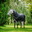 Amigo 1200D Plus Turnout 100g by Horseware Ireland Black Silver