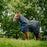 Amigo Ripstop 900D Plus Turnout 200g by Horseware Ireland Black Blue
