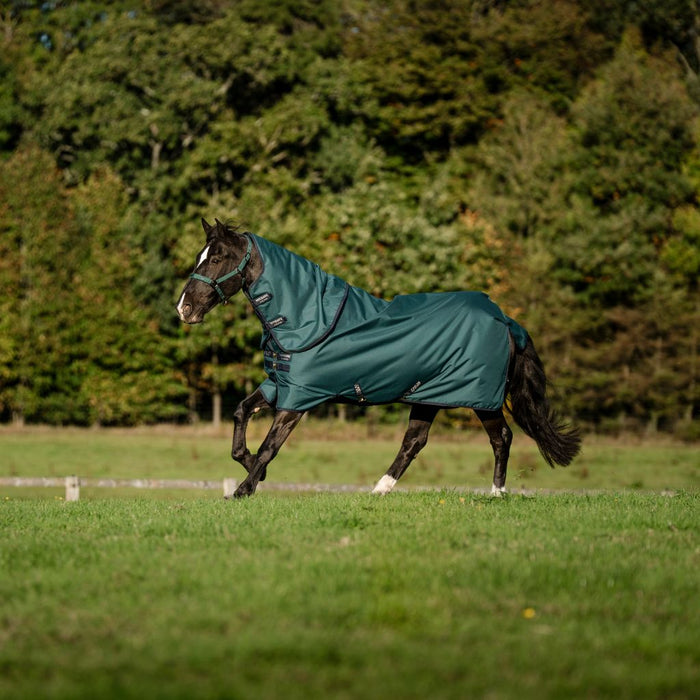 Amigo Ripstop 900D Plus Turnout 200g by Horseware Ireland Dynasty Green