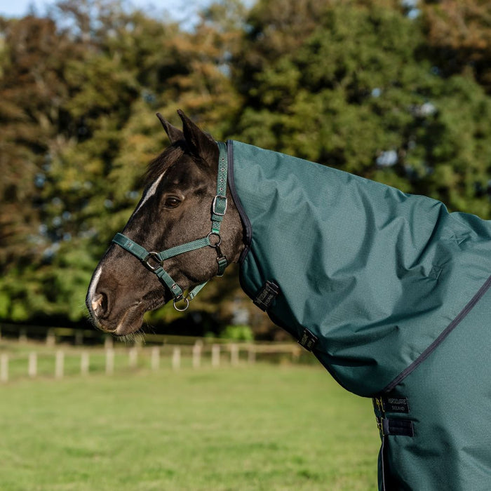 Amigo Ripstop 900D Plus Turnout 200g by Horseware Ireland Hood Detail