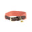 KHW DOG COLLAR JACQUARD Terracotta