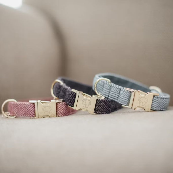 Kentucky Dogwear Wool Dog Collar