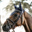 Kentucky Horsewear Fly Veil Wellington Leather Soundless Navy