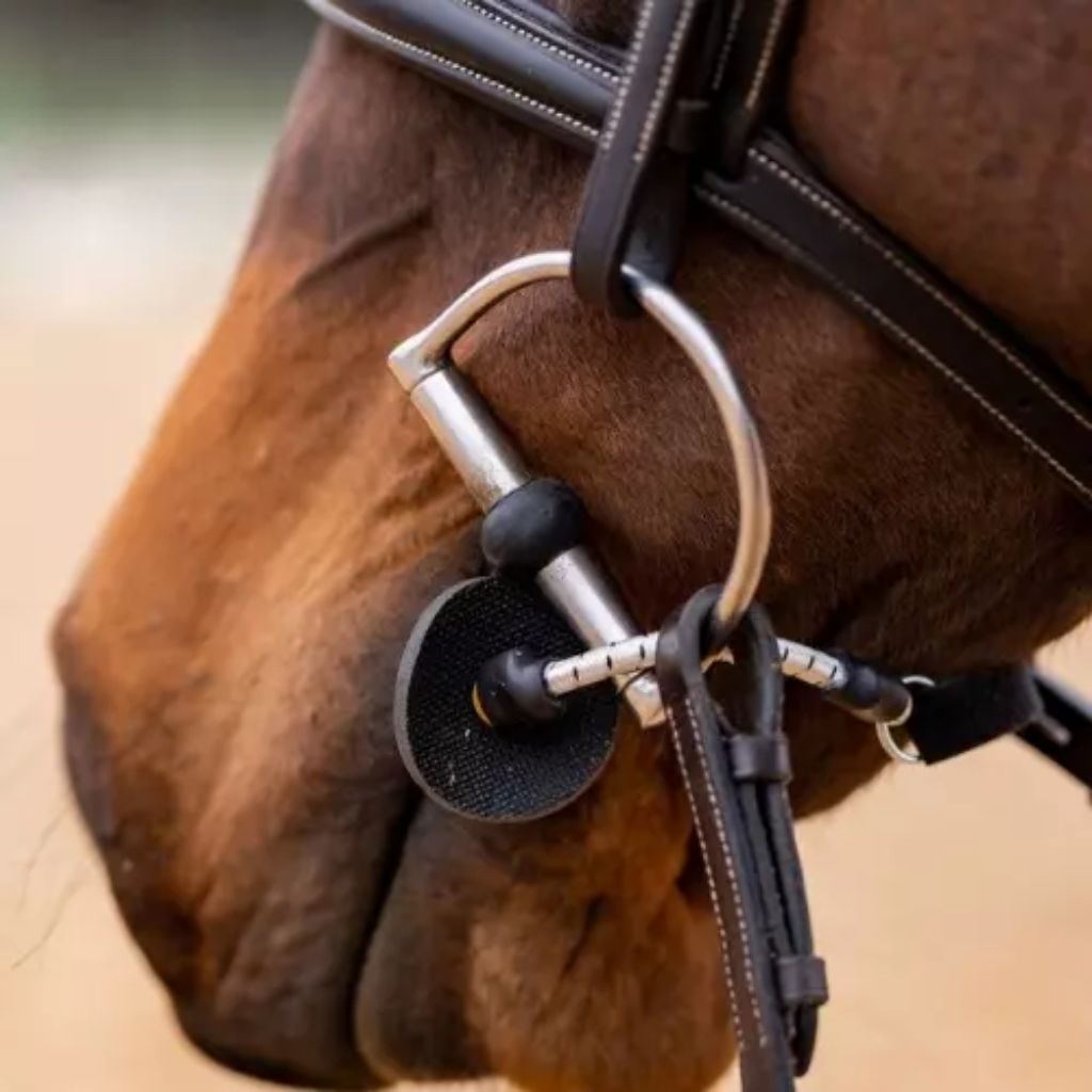 Bonnet pour chevaux NEW STRASS