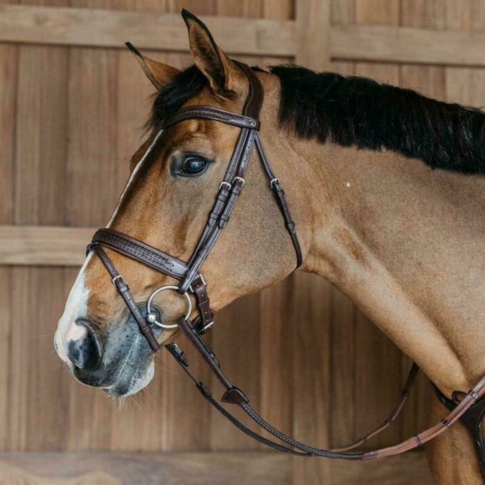 Dyon New English Collection Plaited Flash Noseband Bridle with Crank
