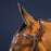 Dyon D Collection X-Fit Bridle Brown
