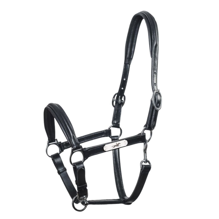 Schockemohle Ulm Pro Leather Halter