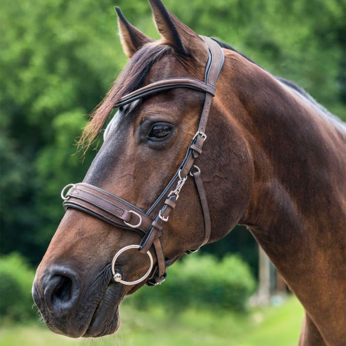 Waldhausen Anatomic Cavesson