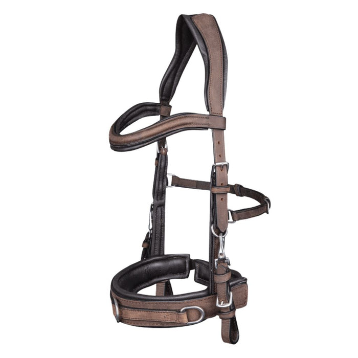 Waldhausen Anatomic Cavesson