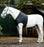 Rambo Slinky Shoulder Guard by Horseware Ireland