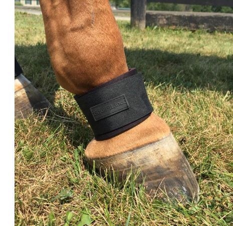 EquiFit Pastern Wraps — Equi Products