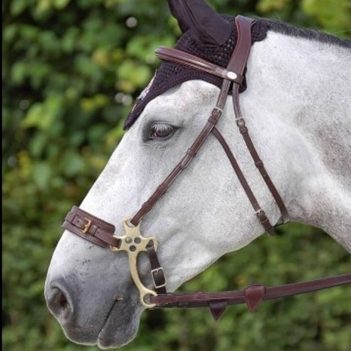 Dyon Hackamore Bridle New English Collection