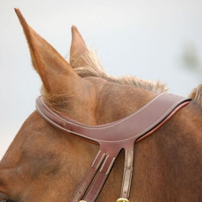 Dyon Difference Bridle with Flash Difference Collection crownpiece