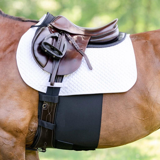 EquiFit BellyBand+