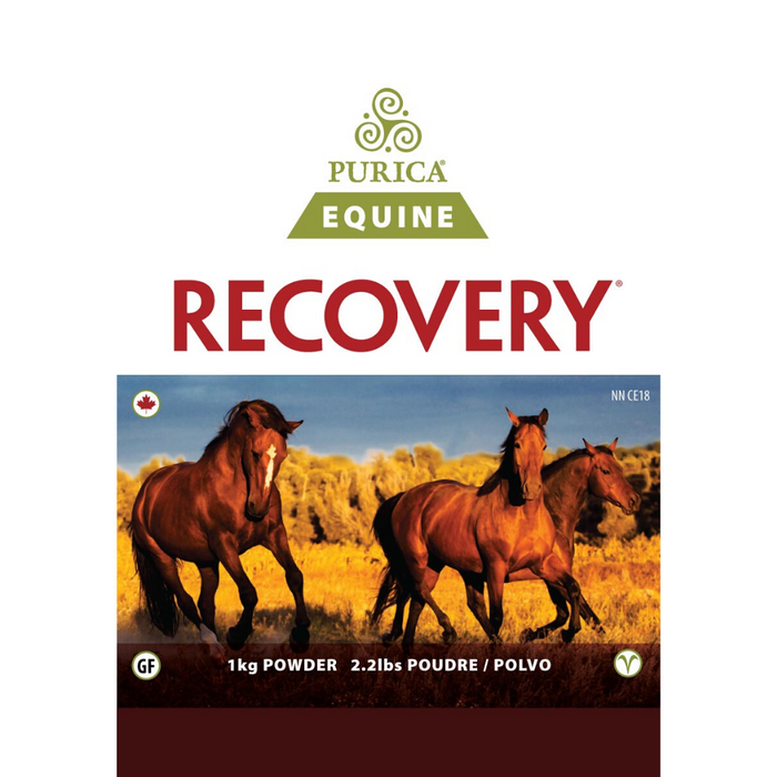 Purica Recovery EQ 5kg