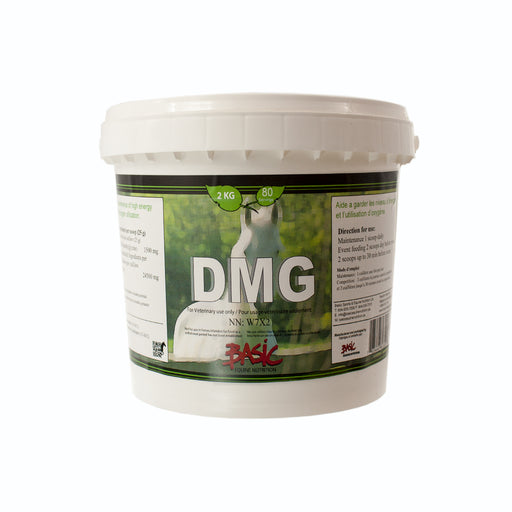 Basic Equine Nutrition DMG 2kg