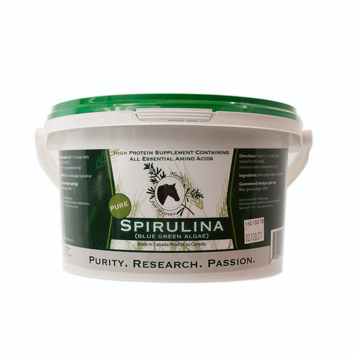 Herbs For Horses Pure Spirulina BGA 1kg