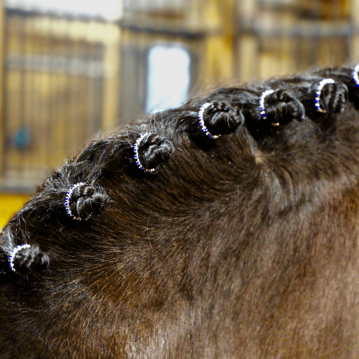 Spiced Equestrian Original Braid Bling in mane