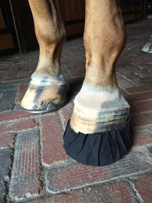 EquiFit Pack-N-Stick HoofTape 6 Pack on hoof
